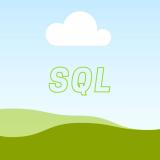 Senior SQL Developer