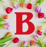 Вести Израиль