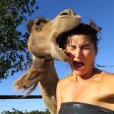 Цена ошибки — Telegram канал