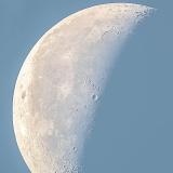 Малыш Илон на Луне 🚀