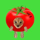 Красный маркетинг