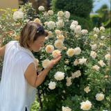 Садовые цветы с Ириной Гущиной — Telegram канал