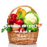 Дачные хитрости от А до Я — Telegram канал