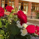 Путеводитель по Калининграду