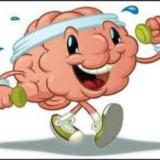 Зарядка для мозга