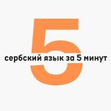 Сербский язык за 5 минут в день | Черногорский / Боснийский / Хорватский язык | Српски jезик | Srpsk