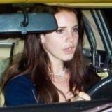 femcel diary - Telegram канал