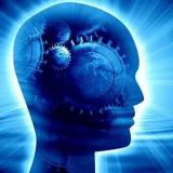 ПСИХОЛОГИЯ ДЛЯ ЖИЗНИ