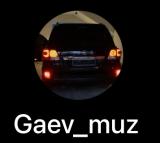 Gaev_muz