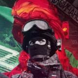 Z комитет + карта СВО