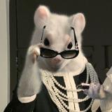 Дорогая Мышка