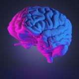 Прокачка мозга