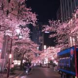 ˚ ﹡Korea🇰🇷﹡˚