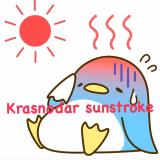 Краснодар Солнечный Удар ☀️