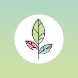 NeoFamily | Биология | ЕГЭ 2024