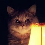 Реальные истории настоящих людей — Telegram канал