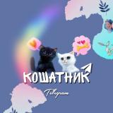 Кошатник | В мире котов