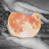 Чеченские новые песни (2023)🎶🔊