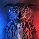 По горячим следам