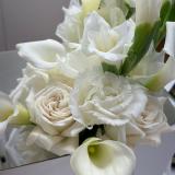 𝘀𝘁𝗼𝗿𝗶𝗲𝘀 𝗳𝗼𝗿 𝘆𝗼𝘂❤️‍🩹