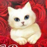 Открытки и Поздравления с днем рождения - Telegram канал