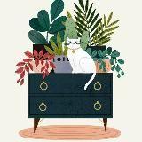 Зеленый уголок