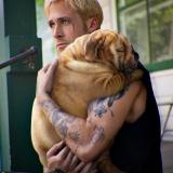 Жизнь админа =)