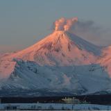 Мачо с Авачи Z - Telegram канал