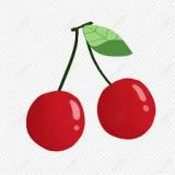 Crash-слоты с Alina Spins 🍒