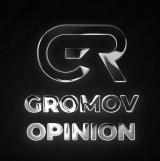 Gromov Opinion