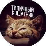 Типичный кошатник
