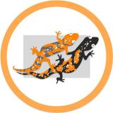 Канал Два-ТриТона - Telegram канал