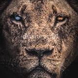 МОТИВАЦИЯ|dushevn01|САМОРАЗВИТИЕ | Бизнес — Telegram канал