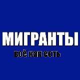 Мигранты — всё как есть — Telegram канал