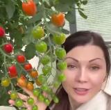 Машин огород и вкусная еда - Telegram канал