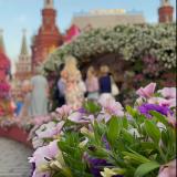 Материалы @linguatimes — Telegram канал