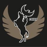 Боевой Сокол