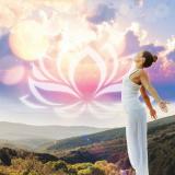 soul flight | мотивация — Telegram канал