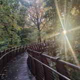 Куда сходить в Москве? Афиша города — Telegram канал