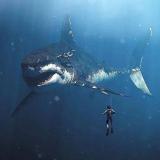 Сочи Сириус