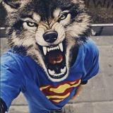 🦊 Фокси | Новости