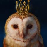 СОВА на ФРИЛАНСЕ