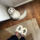 твой гороскоп✌🏻