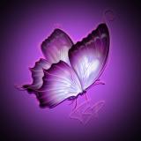 [TSP] та самая папка 📂