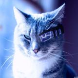 ТехноНаука