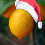 Lemonchik | Crypto | NFT