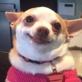 родственнички