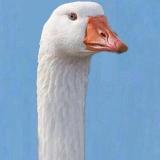 ☃️Детский squad ❄️