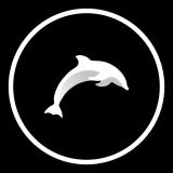 Coin Side | Cryptorun