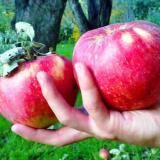 Будете здоровы